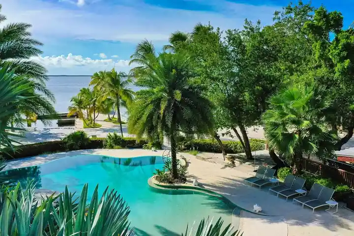 Freeform pool with a palm island beside the bay at Largo Lodge